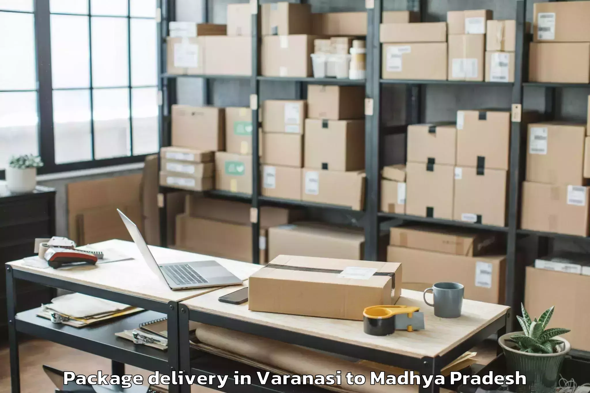 Quality Varanasi to Porsa Package Delivery